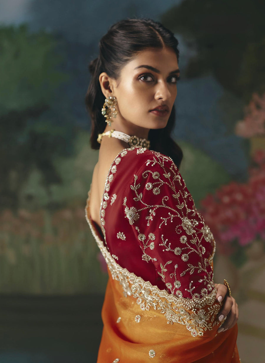 BEAUTIFUL SAREE ON TISSUE ORGANZA WITH BEADS , SEQUENCE & PEARL WORK